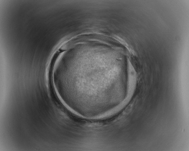 X0000086940340200705141806