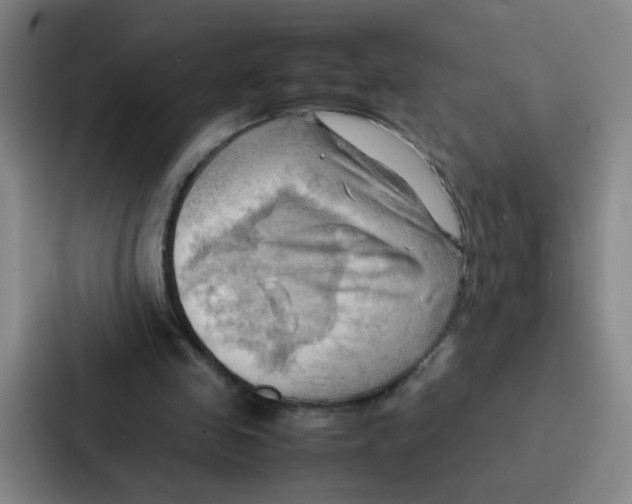 X0000086940341200705141806