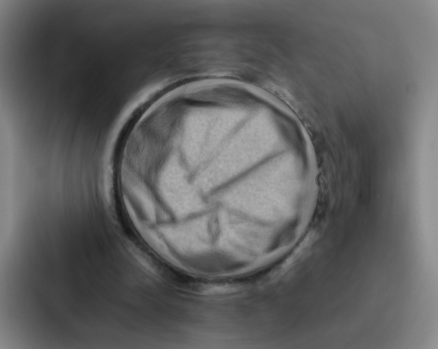 X0000086940342200705141806
