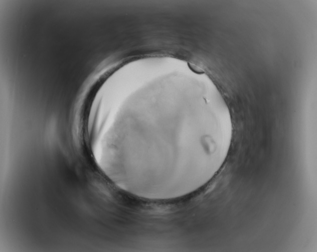 X0000086940343200705141806