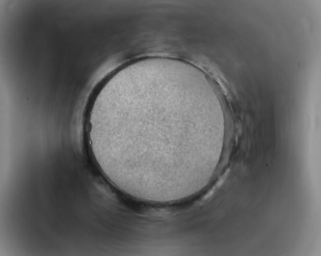X0000086940344200705141806