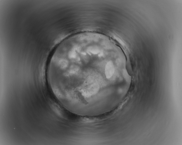 X0000086940346200705141806