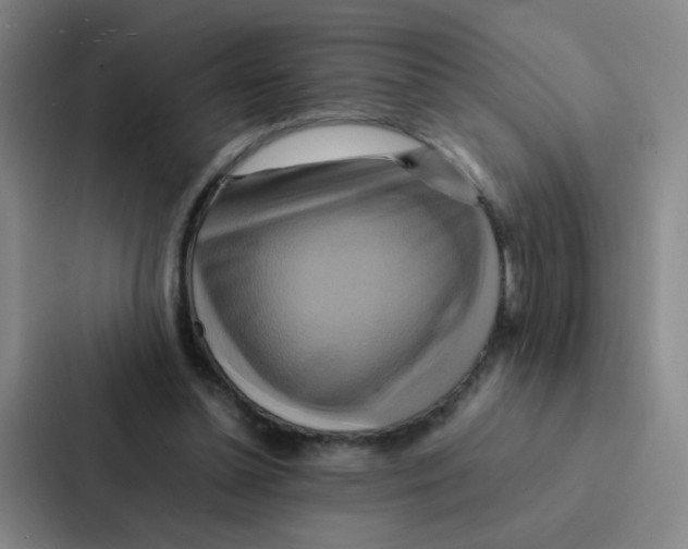 X0000086940348200705141806