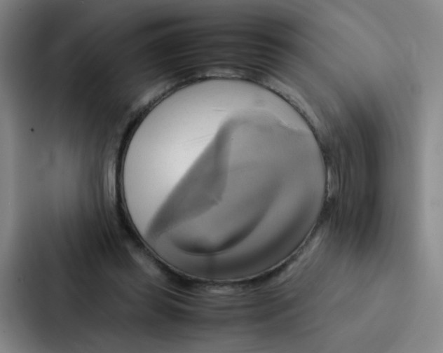 X0000086940349200705141806