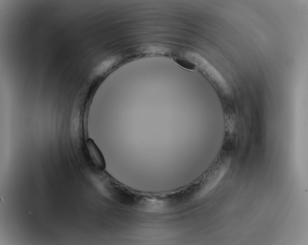 X0000086940352200705141807