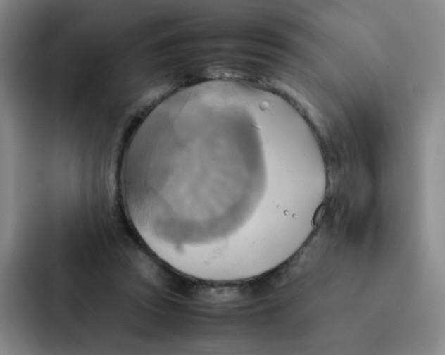 X0000086940353200705141807