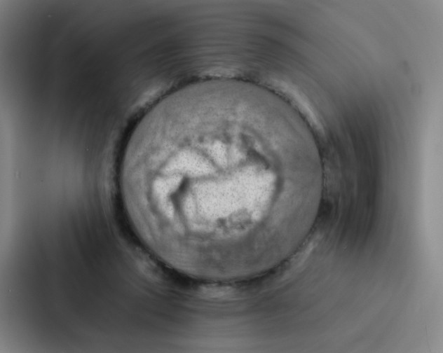 X0000086940354200705141807