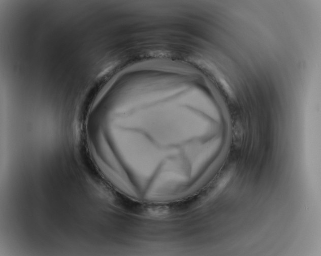 X0000086940355200705141807