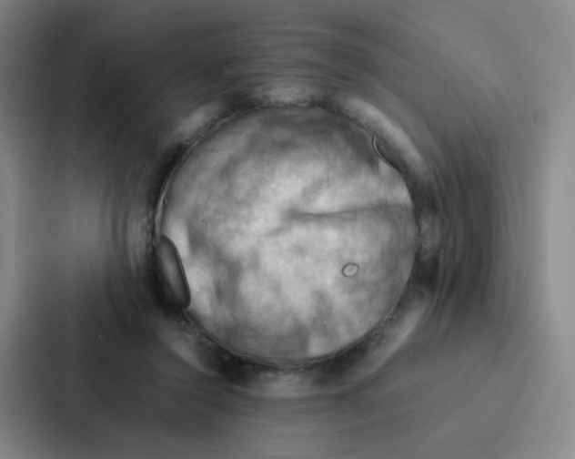 X0000086940356200705141807