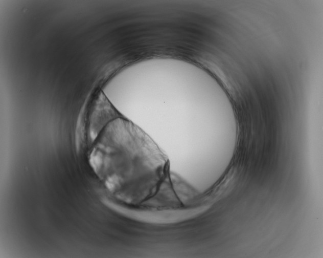 X0000086940357200705141807