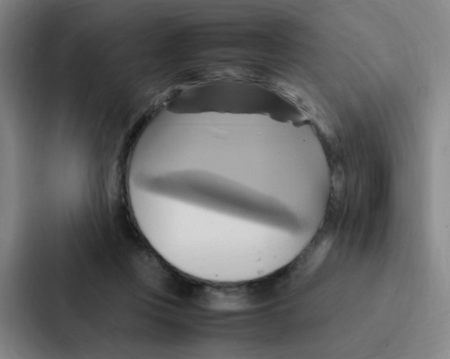 X0000086940359200705141807
