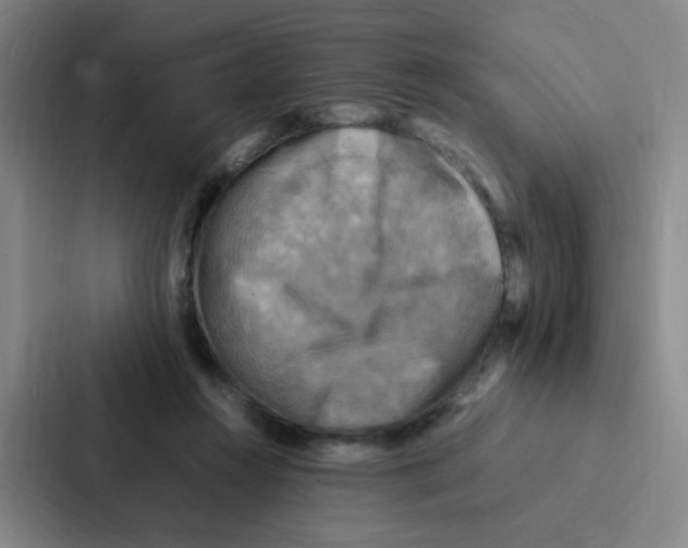 X0000086940360200705141807