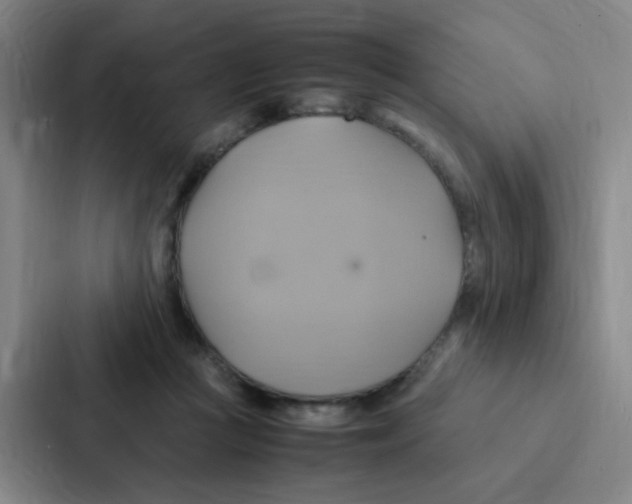 X0000086940361200705141807