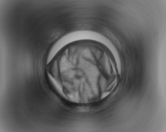 X0000086940362200705141807