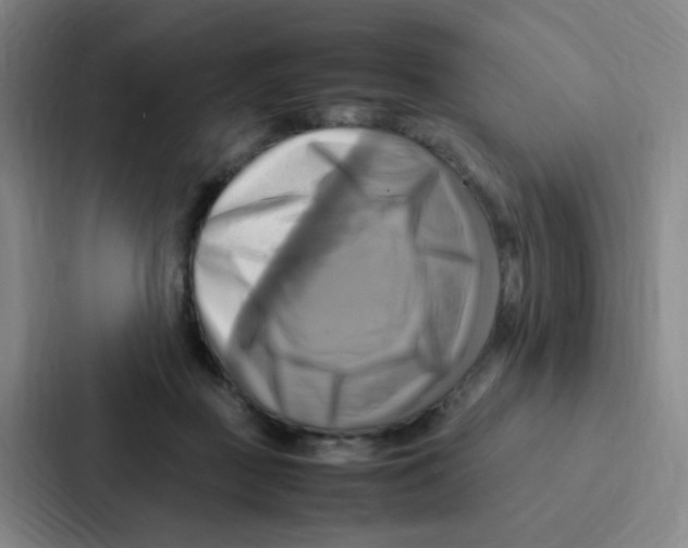 X0000086940363200705141807