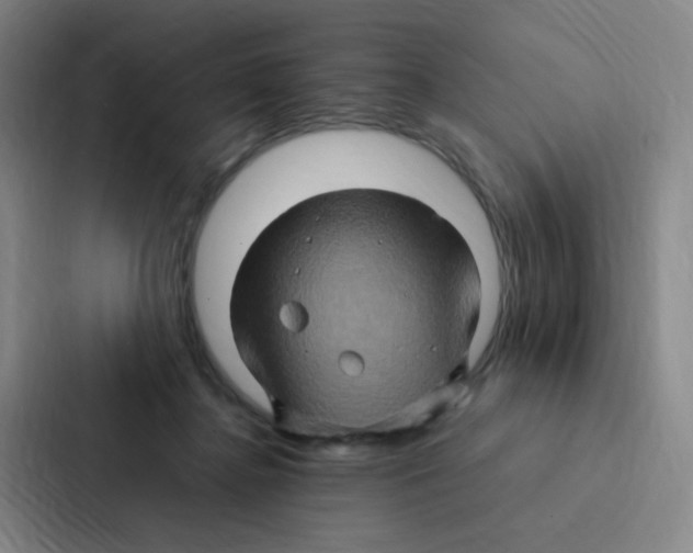 X0000086940364200705141807