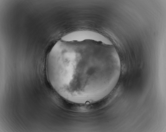 X0000086940365200705141807