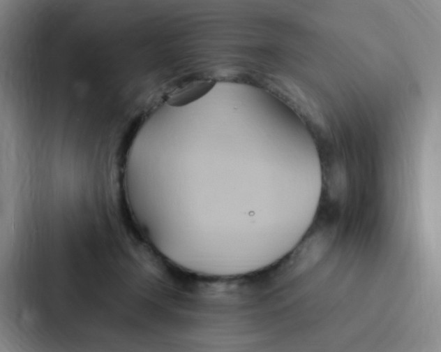 X0000086940366200705141807