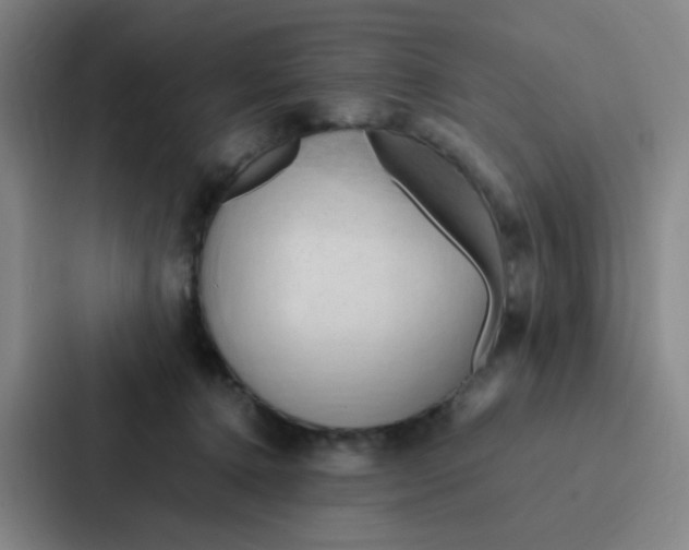 X0000086940368200705141807