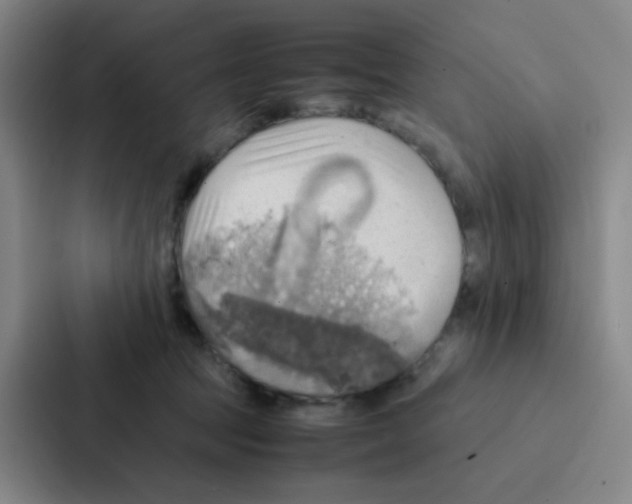 X0000086940369200705141807
