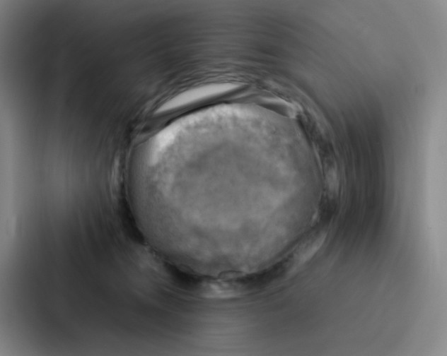 X0000086940372200705141807