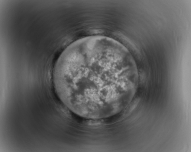 X0000086940373200705141807