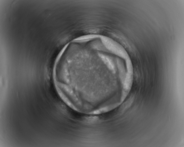 X0000086940374200705141807