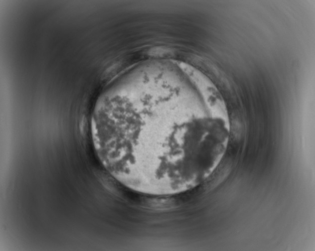X0000086940375200705141807