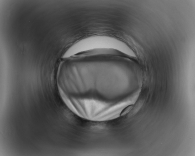 X0000086940377200705141807