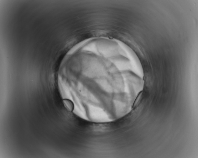 X0000086940378200705141807