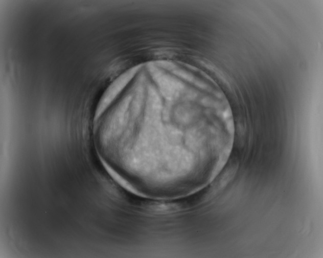 X0000086940379200705141807