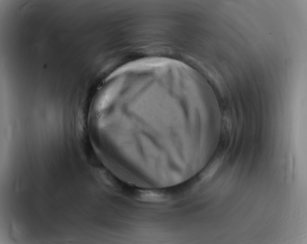 X0000086940380200705141807