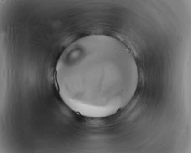 X0000086940383200705141807