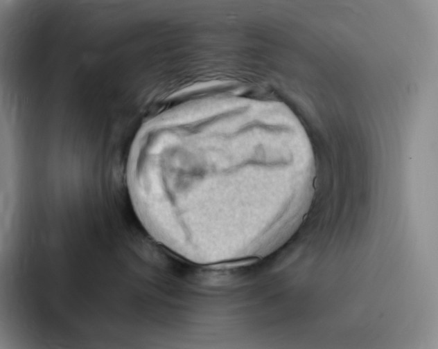 X0000086940384200705141807