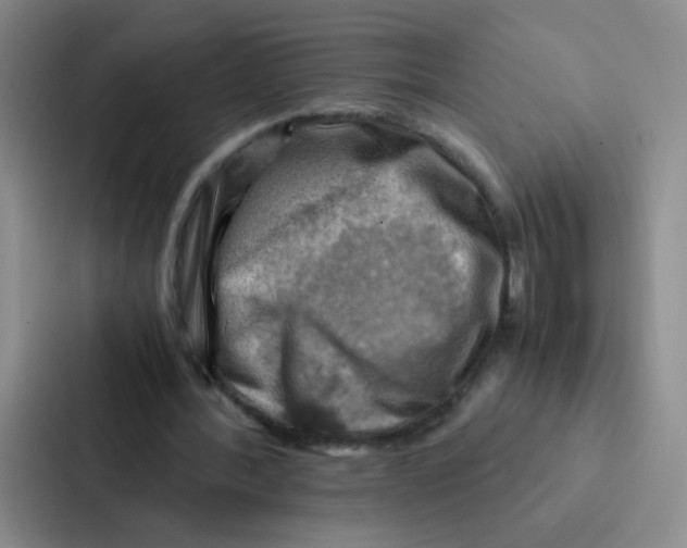 X0000086940388200705141806