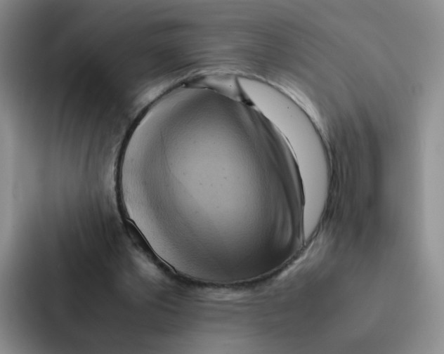 X0000086940389200705141806