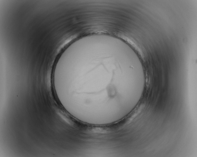 X0000086940390200705141806