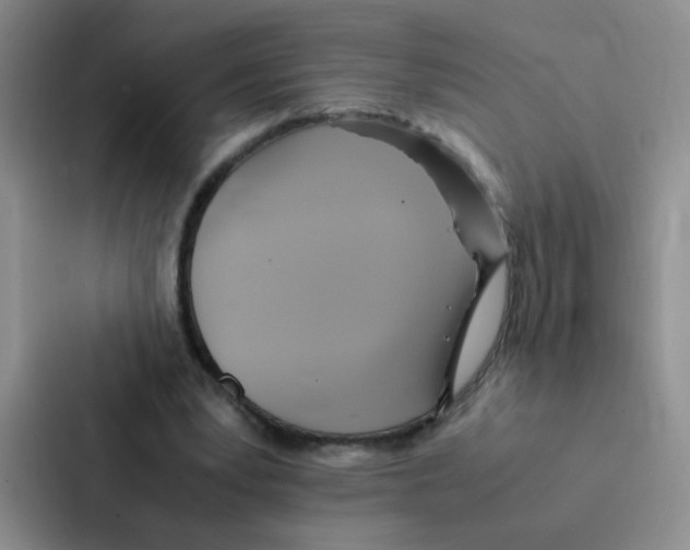 X0000086940391200705141806