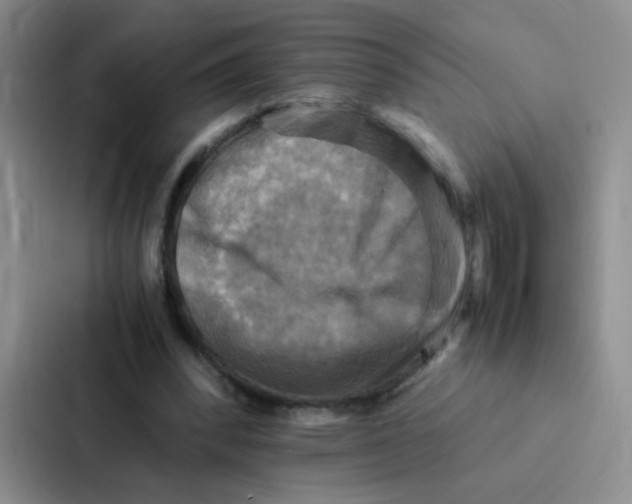 X0000086940392200705141806