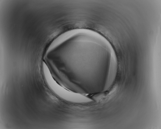 X0000086940393200705141806