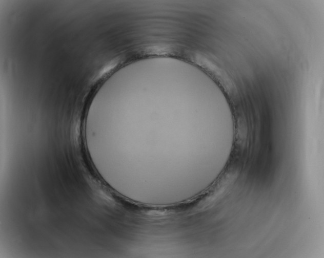 X0000086940394200705141806