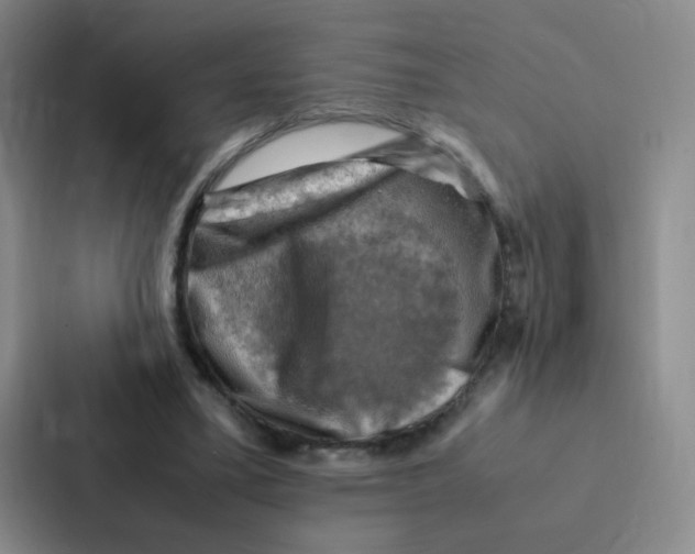 X0000086940395200705141806