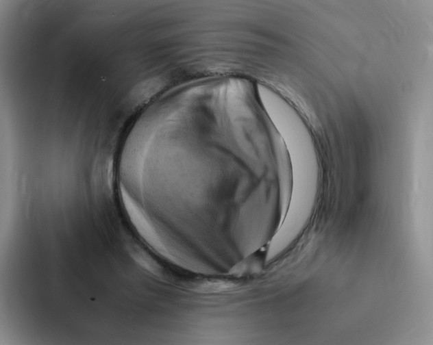 X0000086940397200705141806