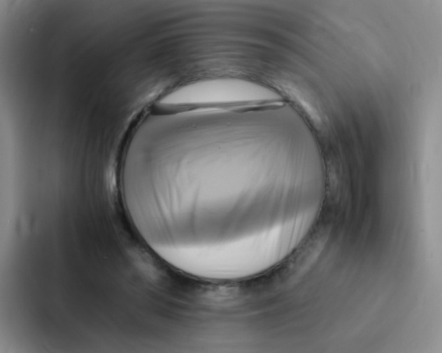 X0000086940398200705141806