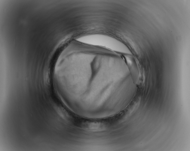 X0000086940400200705141806