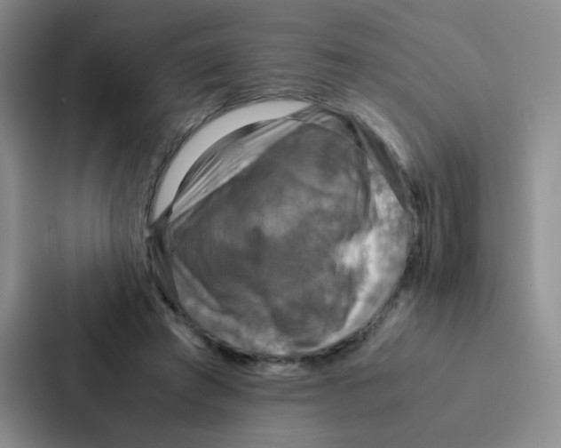 X0000086940401200705141806