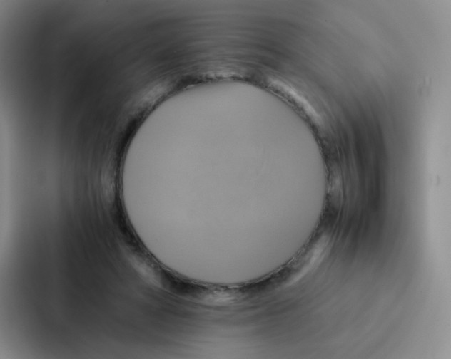 X0000086940402200705141806