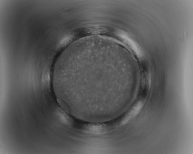 X0000086940405200705141806