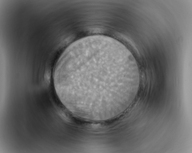 X0000086940406200705141806