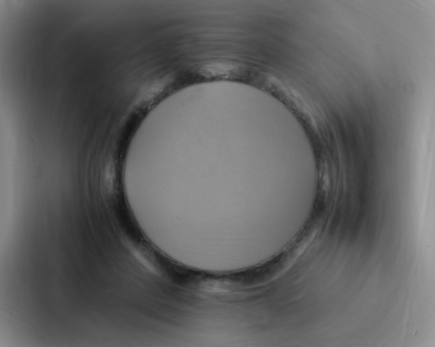 X0000086940408200705141806